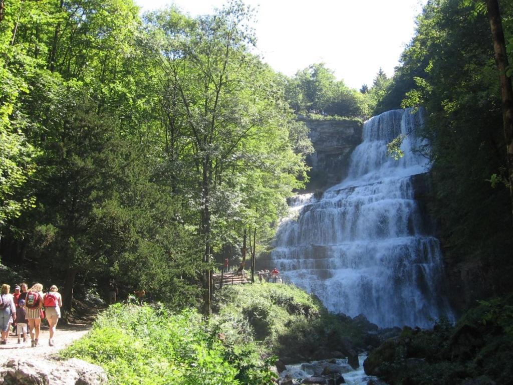 Gite Grande Capacite Au Calme Circuit Cascades Du Herisson Bonlieu Экстерьер фото