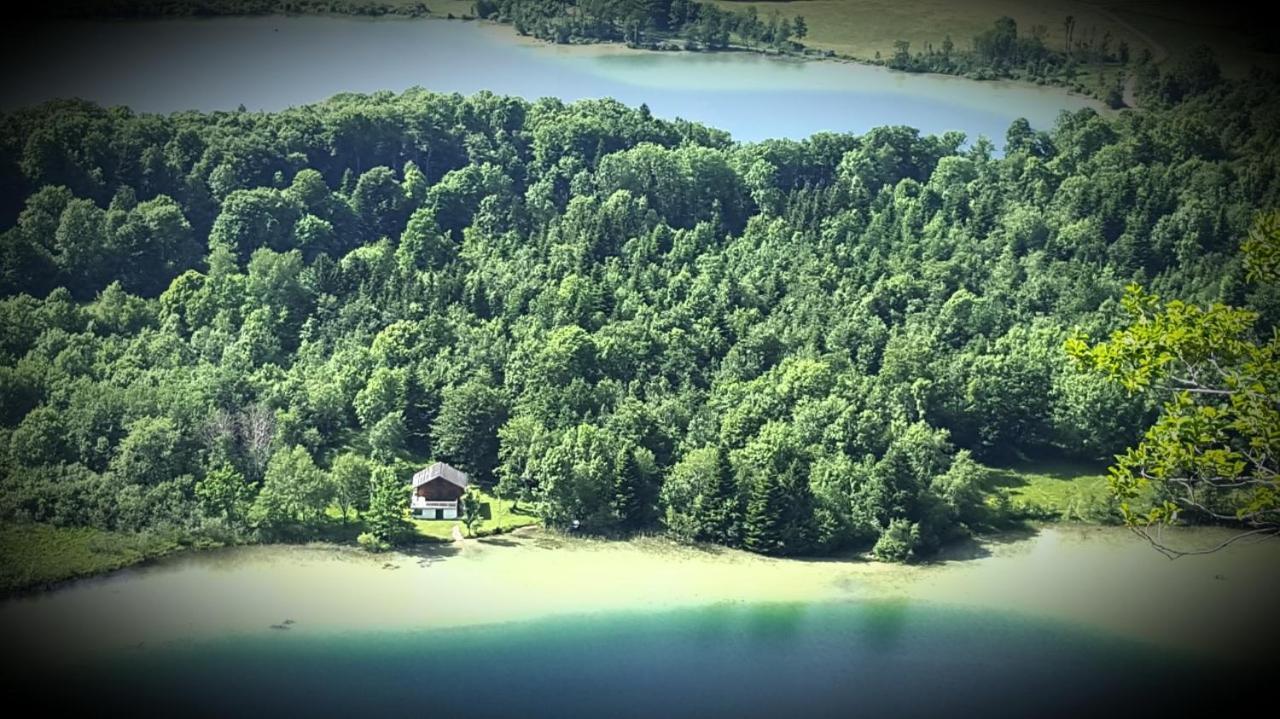 Gite Grande Capacite Au Calme Circuit Cascades Du Herisson Bonlieu Экстерьер фото